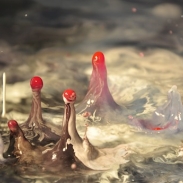 2018_akiko_nakayama_5