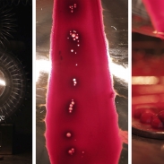 5_yasunori_kawamatsu