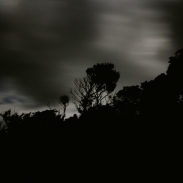 travel_award_2010_04