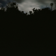 travel_award_2010_06