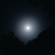 travel_award_2010_08