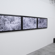 travel_award_2011_06